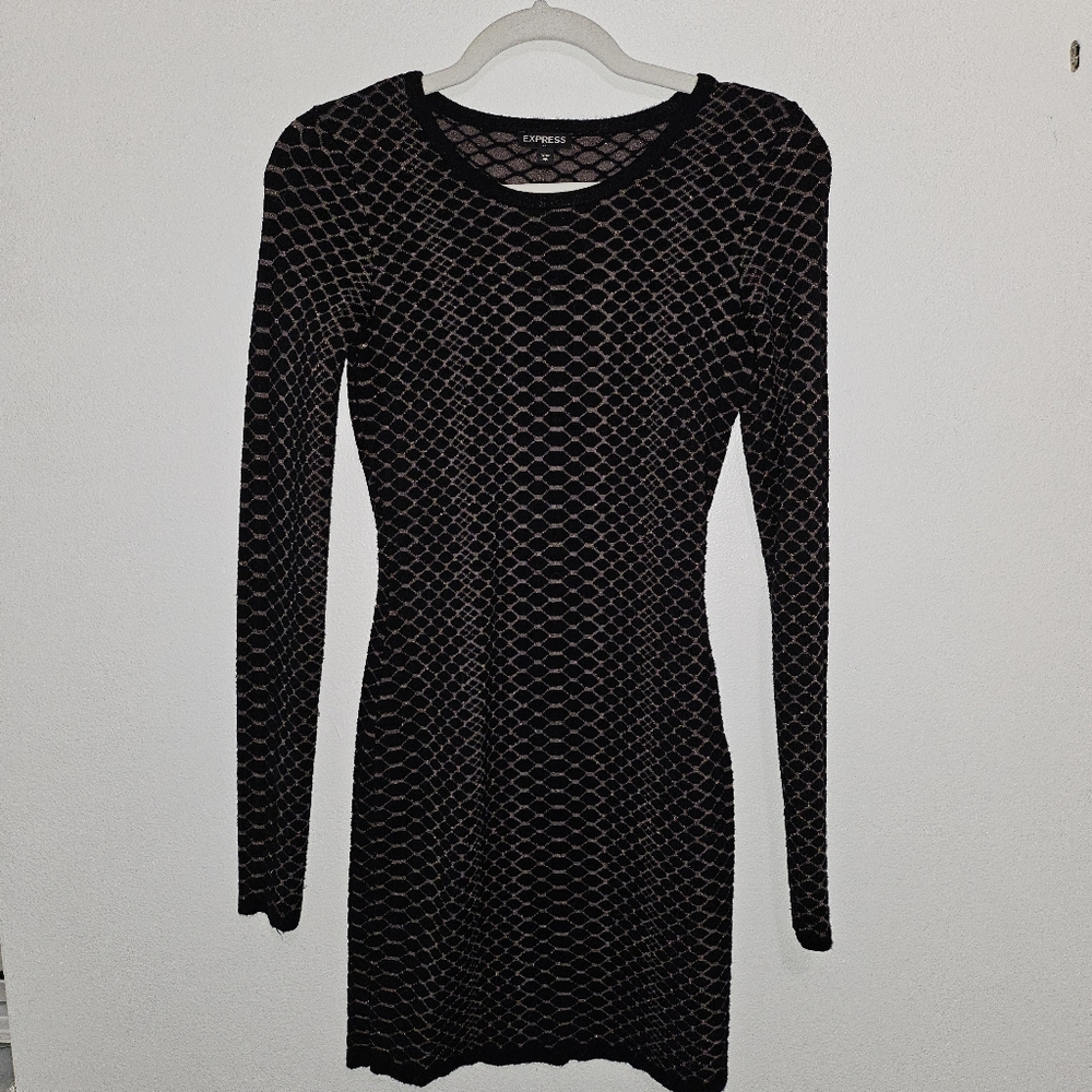 Express Long Sleeve Bodycon Sweater Dress